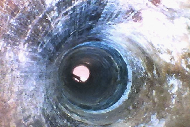 孔内の内視鏡調査