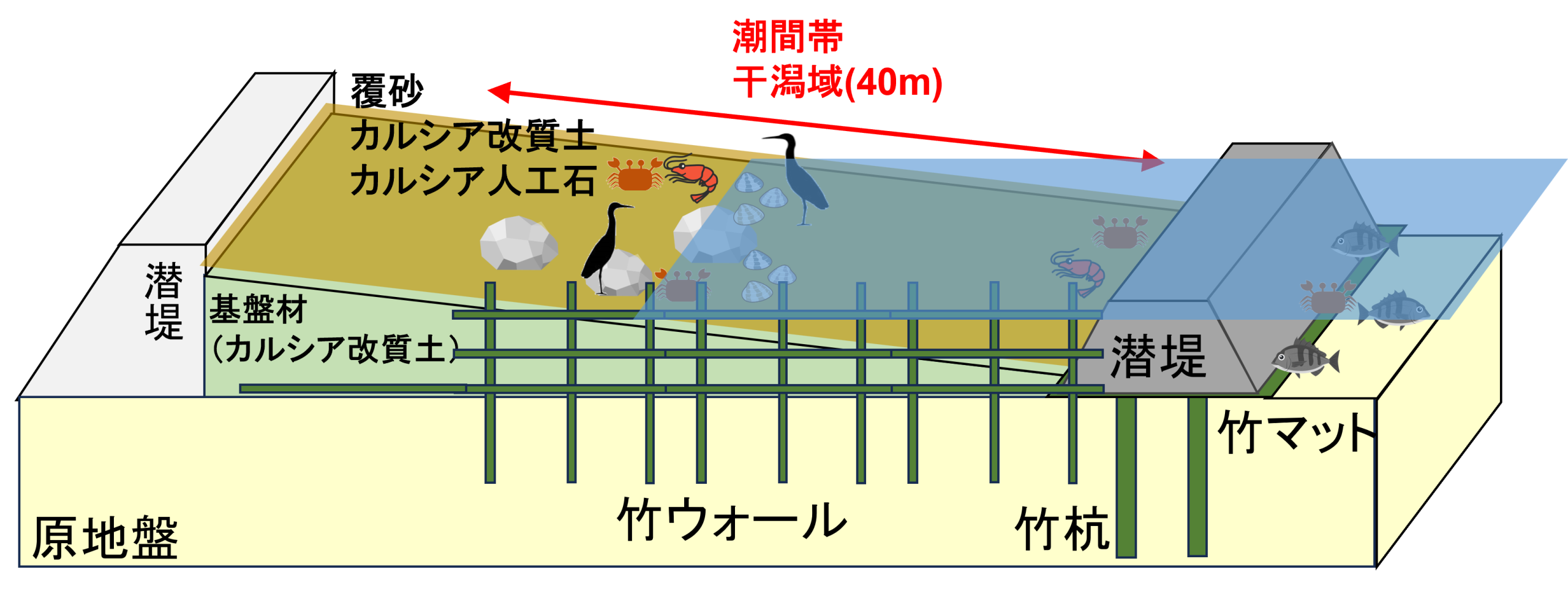 conceptual-diagram-of-artificial-tidal-flat 人工干潟イメージ図