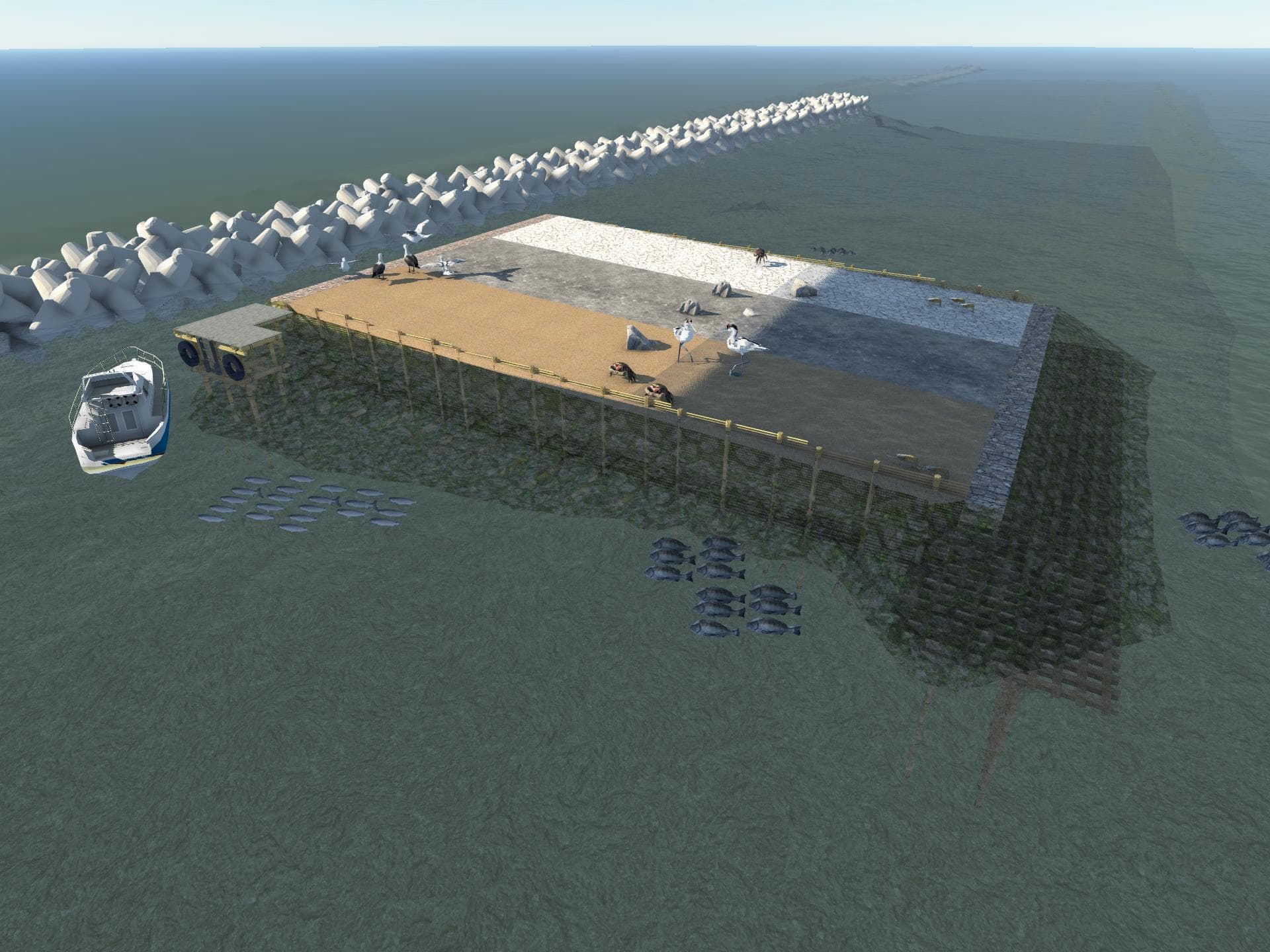 人工干潟イメージ(3次元)