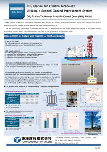 Development of Supply and Fixation of Carbon Dioxide