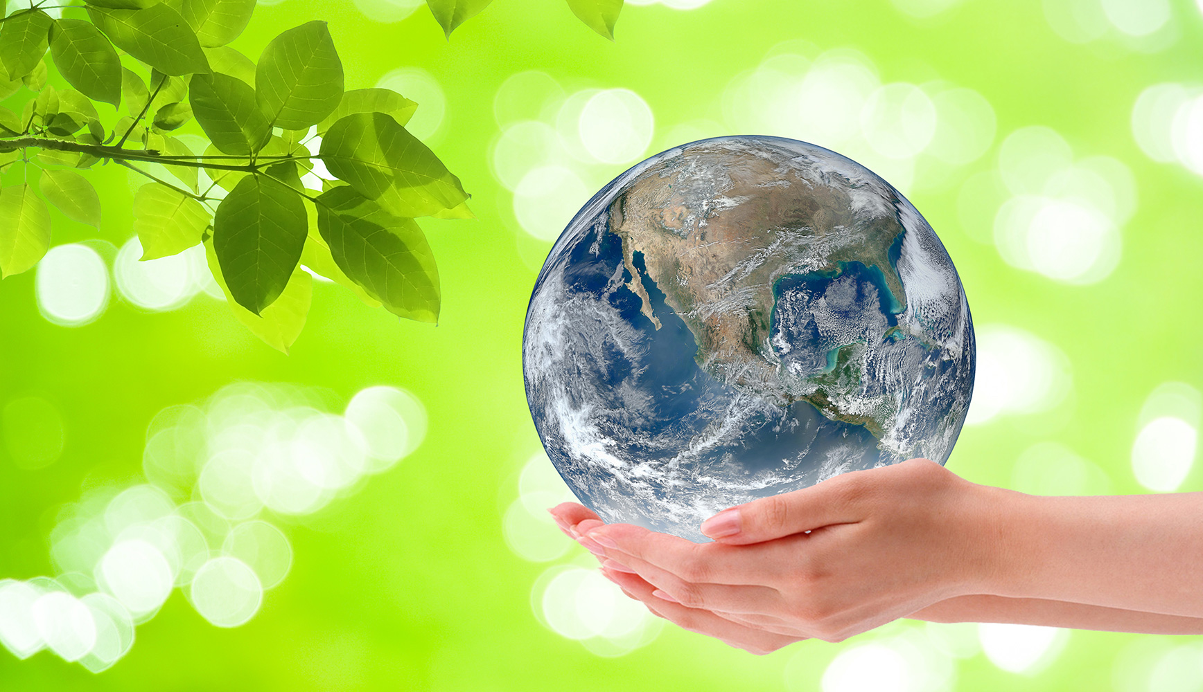 地球温暖化防止 東洋建設株式会社