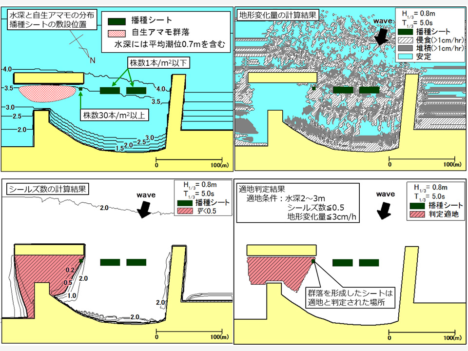 藻場造成のための海岸工学的適地評価システム　SEADS